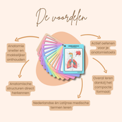 Flashcards