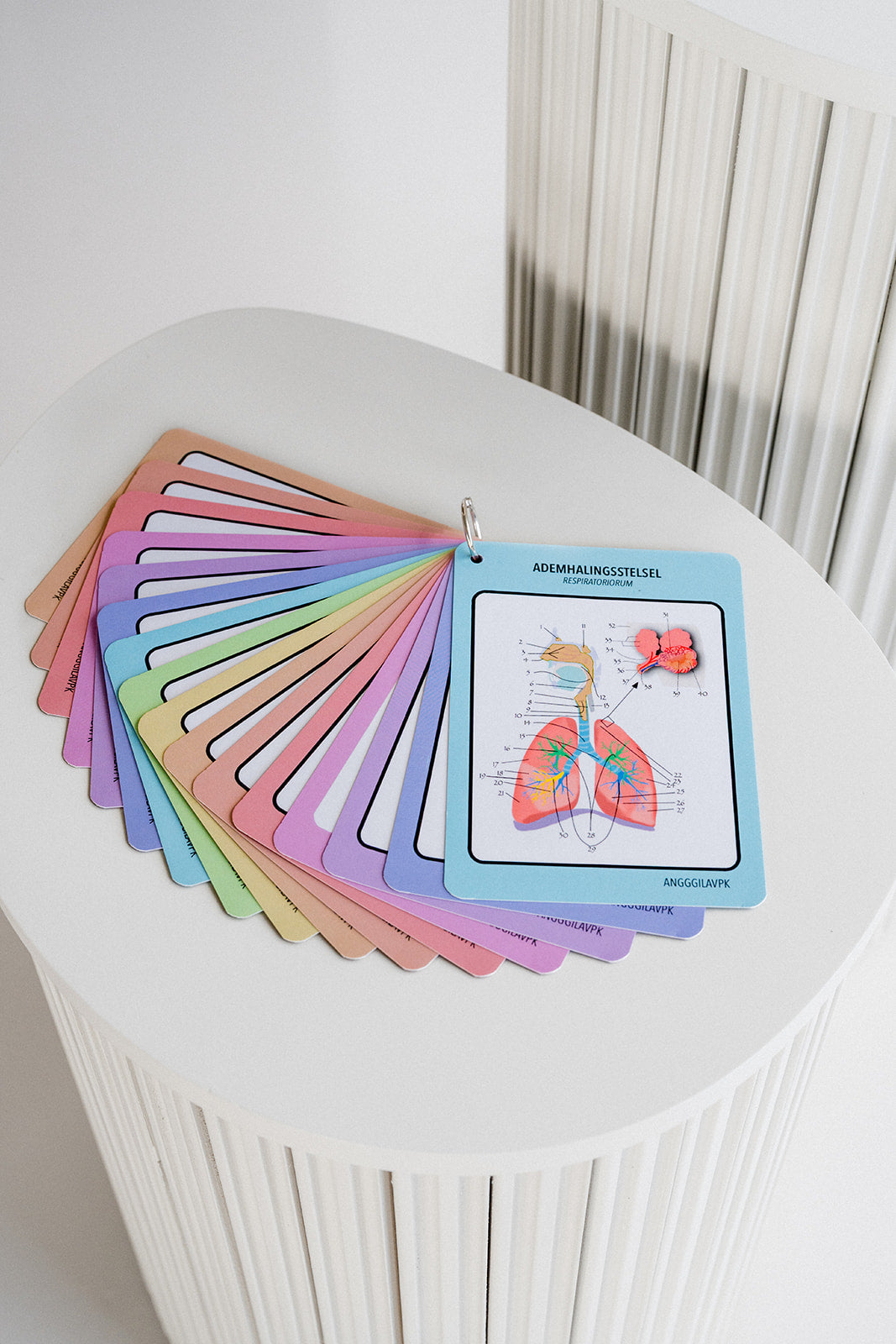 Flashcards